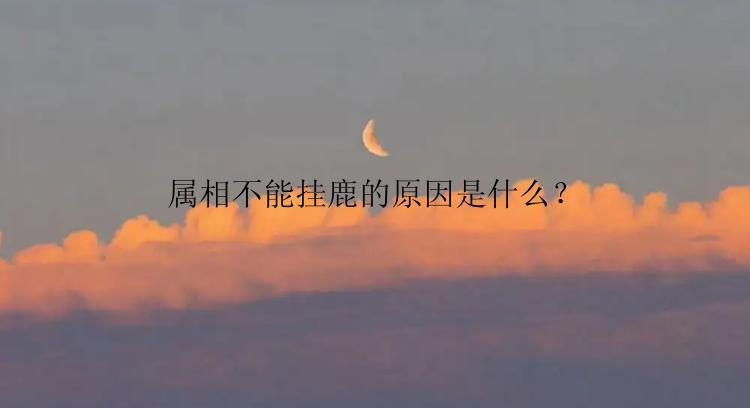 属相不能挂鹿的原因是什么？