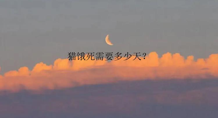 猫饿死需要多少天？