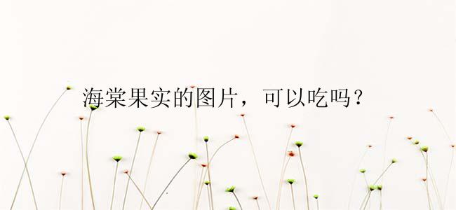 海棠果实的图片，可以吃吗？