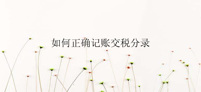 如何正确记账交税分录