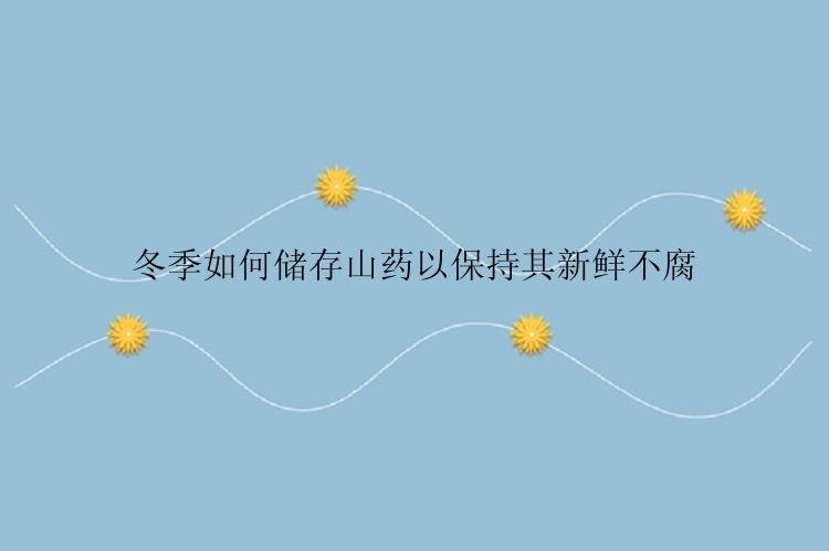 冬季如何储存山药以保持其新鲜不腐