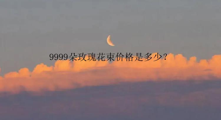 9999朵玫瑰花束价格是多少？