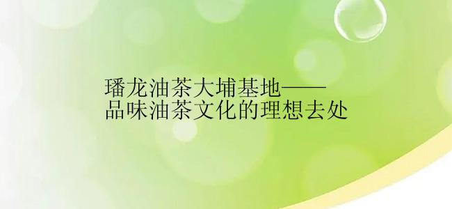 璠龙油茶大埔基地——品味油茶文化的理想去处