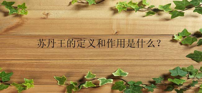 苏丹王的定义和作用是什么？