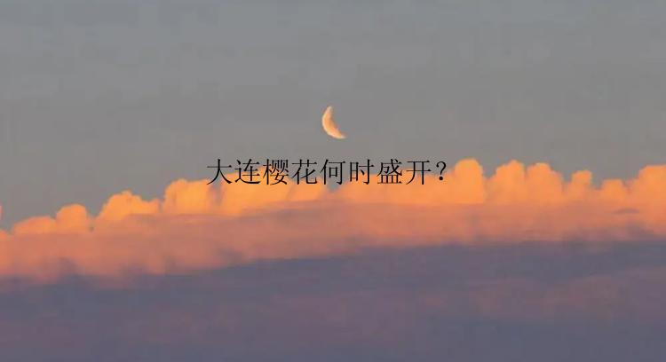 大连樱花何时盛开？