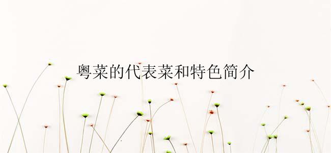 粤菜的代表菜和特色简介
