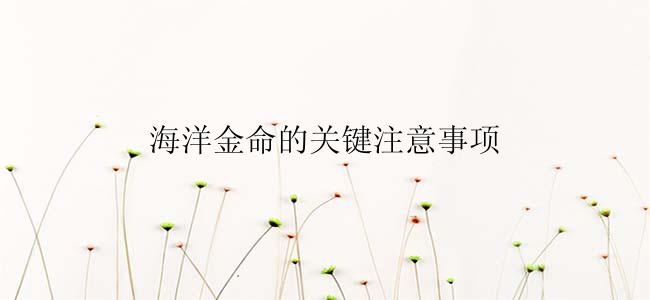 海洋金命的关键注意事项