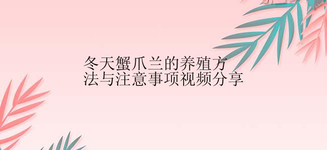 冬天蟹爪兰的养殖方法与注意事项视频分享