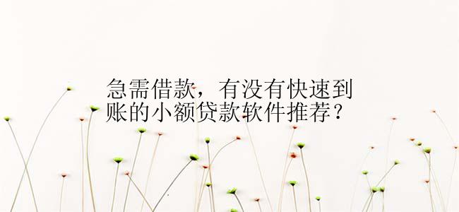 急需借款，有没有快速到账的小额贷款软件推荐？