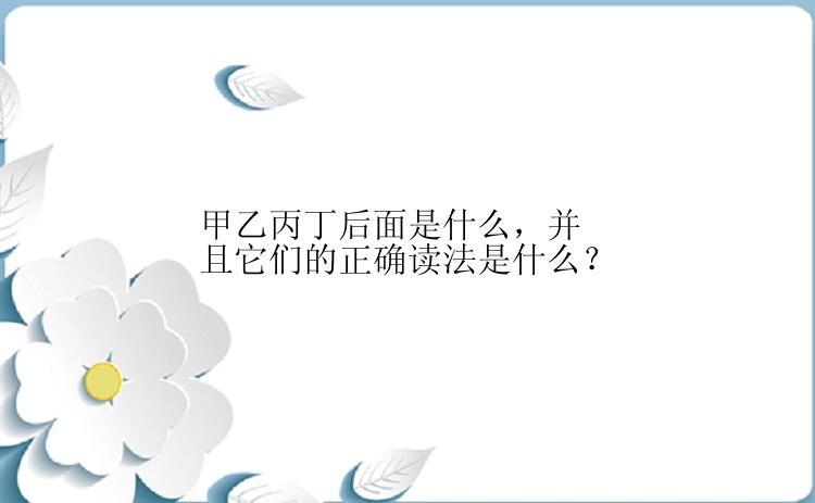 甲乙丙丁后面是什么，并且它们的正确读法是什么？