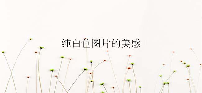纯白色图片的美感