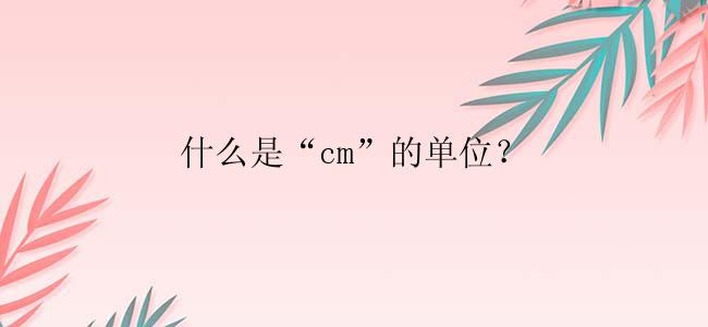 什么是“cm”的单位？