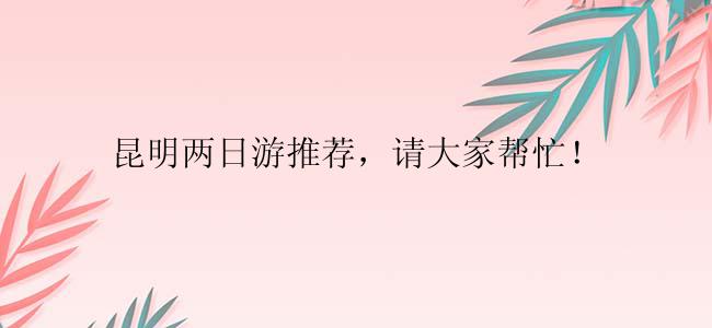 昆明两日游推荐，请大家帮忙！
