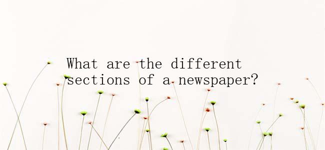 What are the different sections of a newspaper?