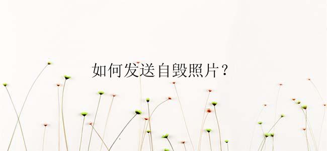 如何发送自毁照片？