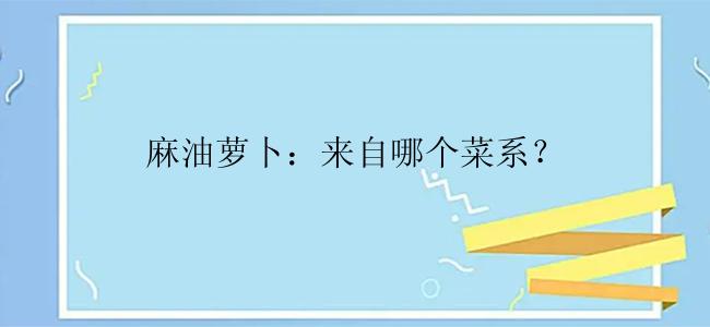 麻油萝卜：来自哪个菜系？