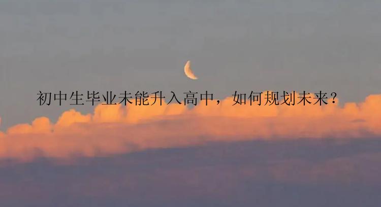 初中生毕业未能升入高中，如何规划未来？