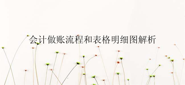 会计做账流程和表格明细图解析