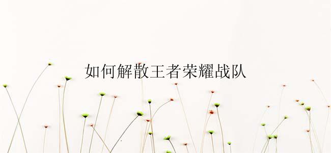 如何解散王者荣耀战队