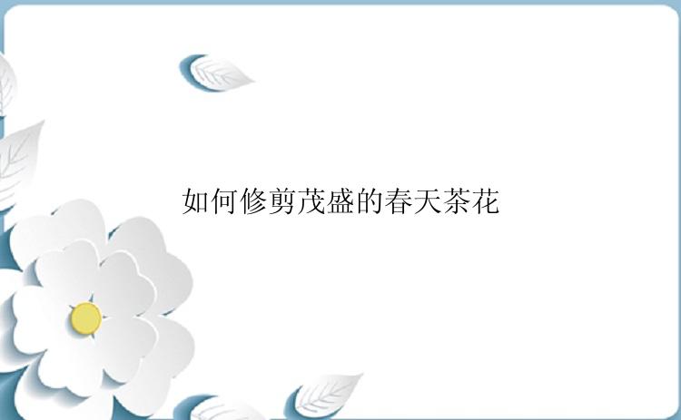 如何修剪茂盛的春天茶花