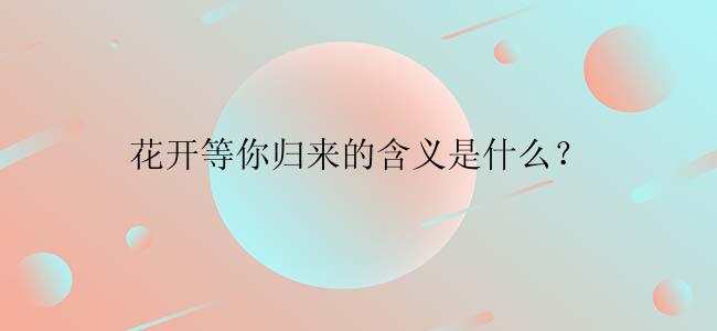 花开等你归来的含义是什么？