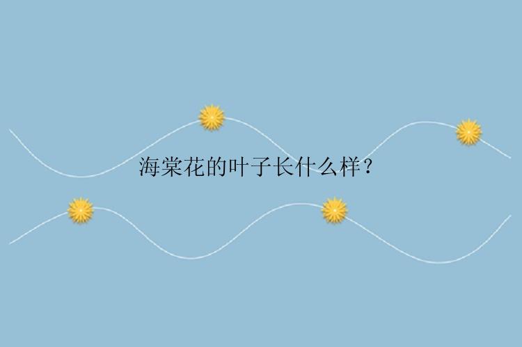 海棠花的叶子长什么样？