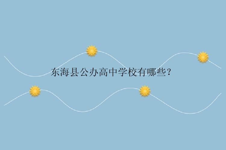 东海县公办高中学校有哪些？