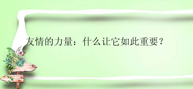 友情的力量：什么让它如此重要？