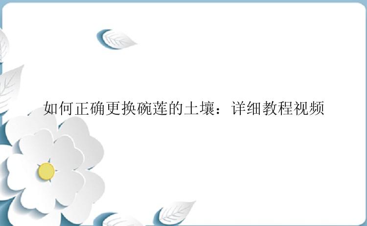 如何正确更换碗莲的土壤：详细教程视频