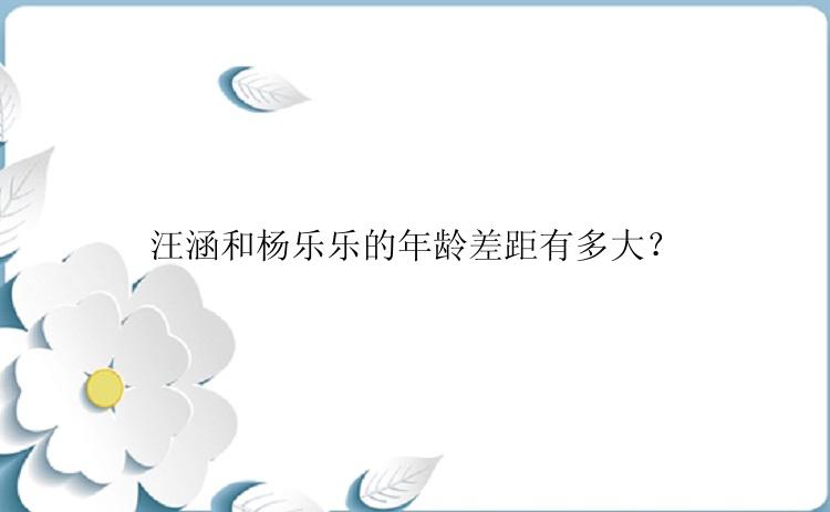 汪涵和杨乐乐的年龄差距有多大？