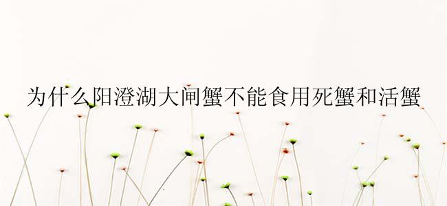 为什么阳澄湖大闸蟹不能食用死蟹和活蟹