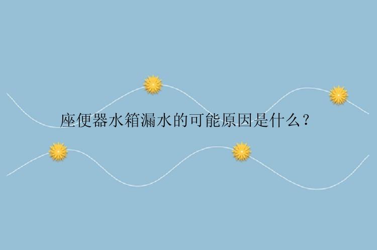 座便器水箱漏水的可能原因是什么？