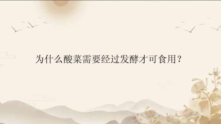 为什么酸菜需要经过发酵才可食用？