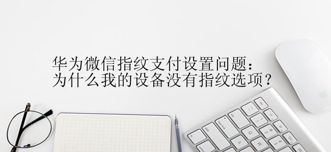 华为微信指纹支付设置问题：为什么我的设备没有指纹选项？