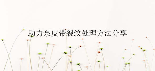 助力泵皮带裂纹处理方法分享