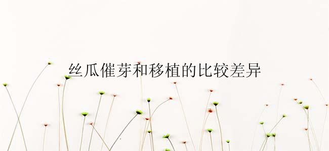 丝瓜催芽和移植的比较差异