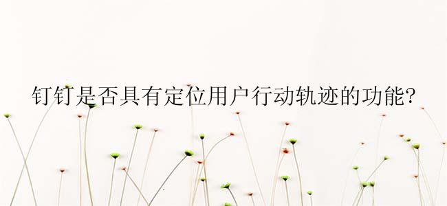 钉钉是否具有定位用户行动轨迹的功能?