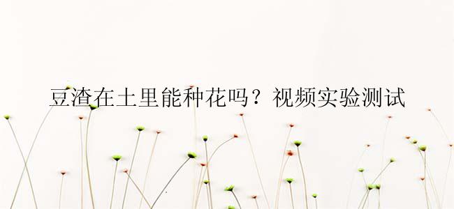 豆渣在土里能种花吗？视频实验测试