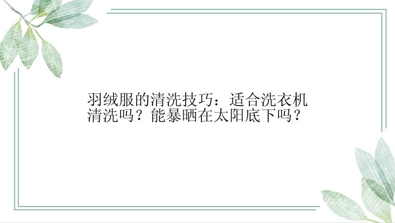 羽绒服的清洗技巧：适合洗衣机清洗吗？能暴晒在太阳底下吗？