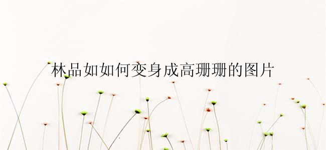 林品如如何变身成高珊珊的图片