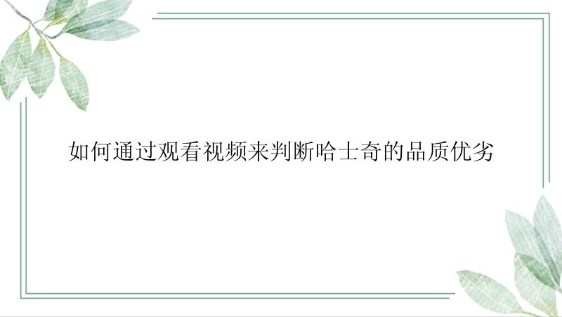 如何通过观看视频来判断哈士奇的品质优劣