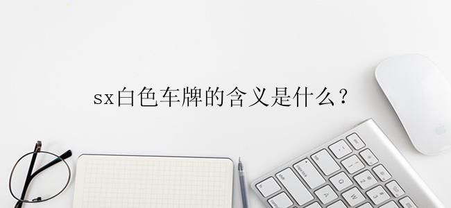 sx白色车牌的含义是什么？