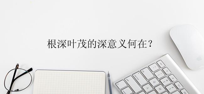 根深叶茂的深意义何在？