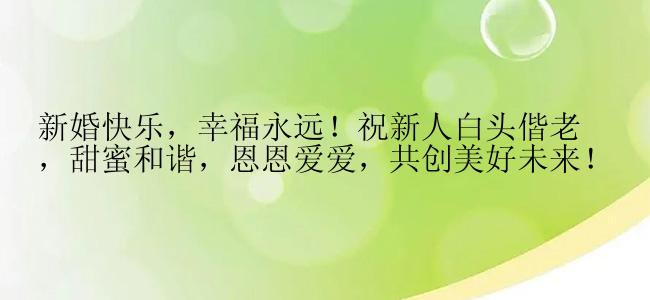 新婚快乐，幸福永远！祝新人白头偕老，甜蜜和谐，恩恩爱爱，共创美好未来！