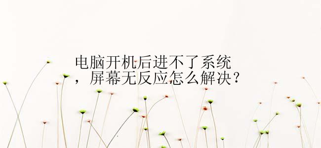 电脑开机后进不了系统，屏幕无反应怎么解决？