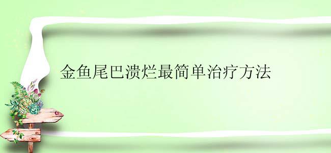 金鱼尾巴溃烂最简单治疗方法