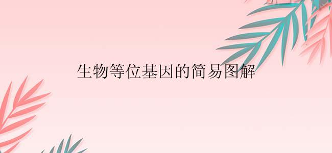生物等位基因的简易图解