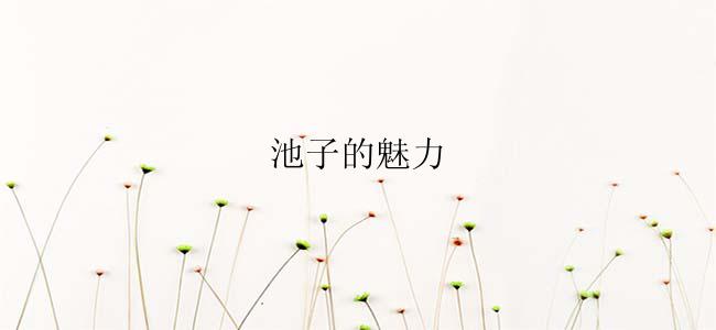 池子的魅力