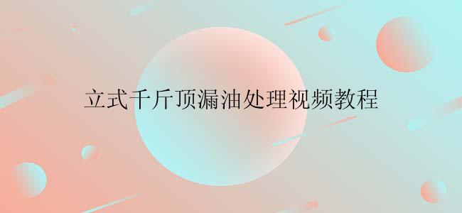 立式千斤顶漏油处理视频教程