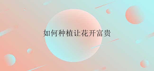如何种植让花开富贵